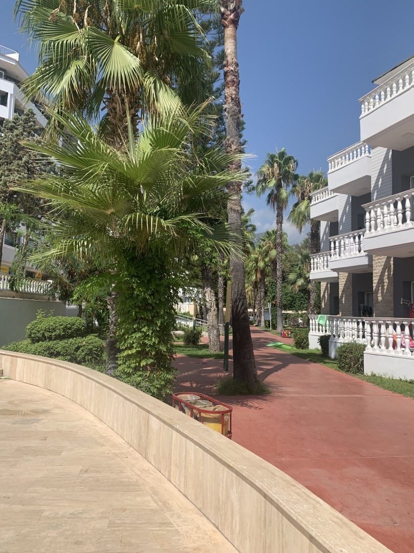 Турция в августе-сентябре.Отзыв об отеле