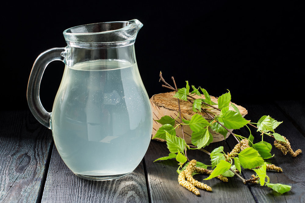 Какой берёзовый сок лучше, покупной или собранный самостоятельно?