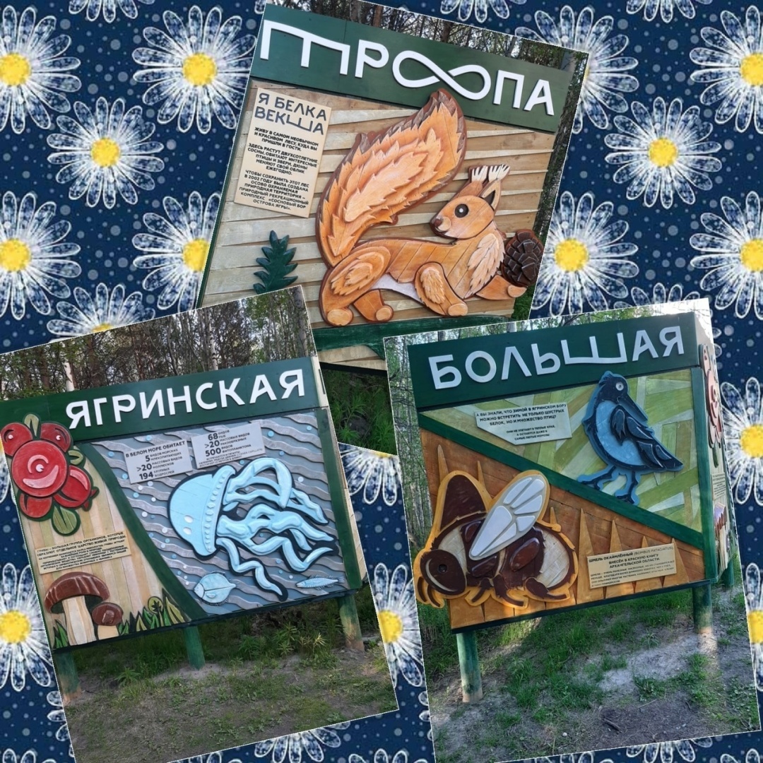 Моя экскурсия по муралам острова Ягры. Личные впечатления и фото