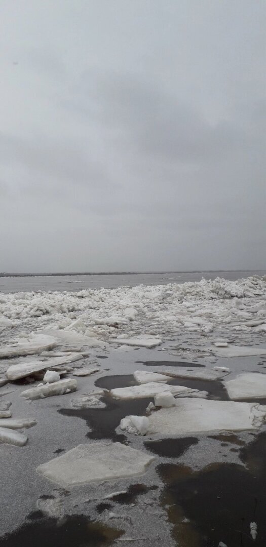 Мое мнение о паводке 2024 года. В Архангельской области подтоплению подвержен Холмогорский район