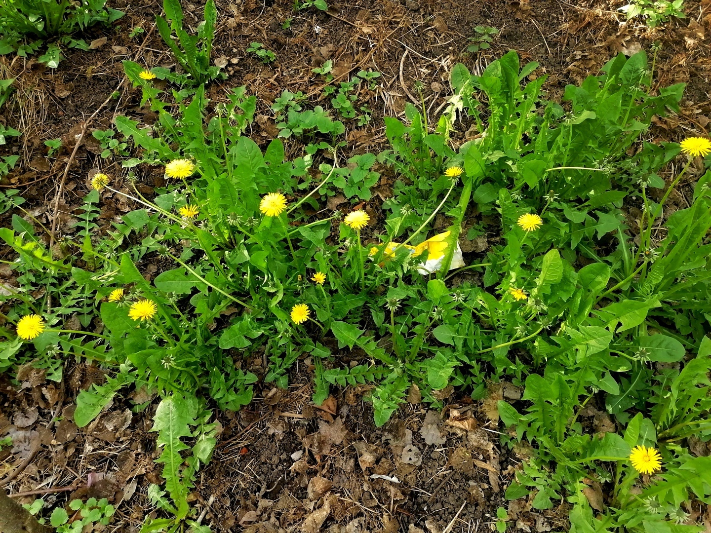 Мои авторские стихи.