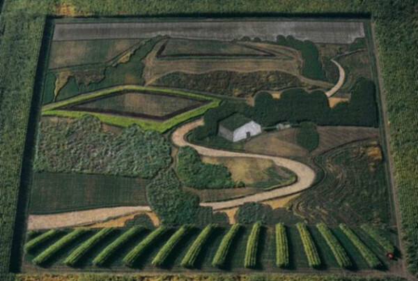 Странный вид искусства - агроживопись. Буквально - создание рисунков на полях