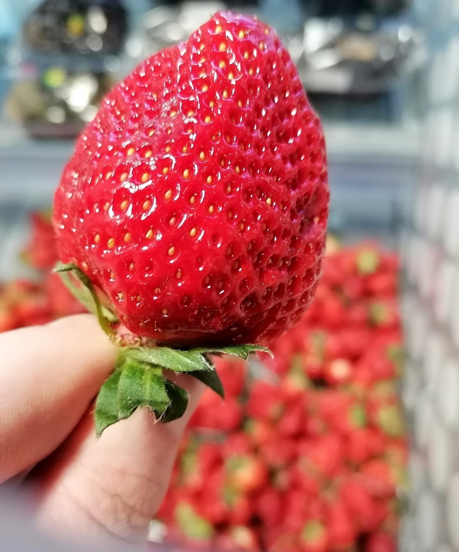 Мои авторские стихи.