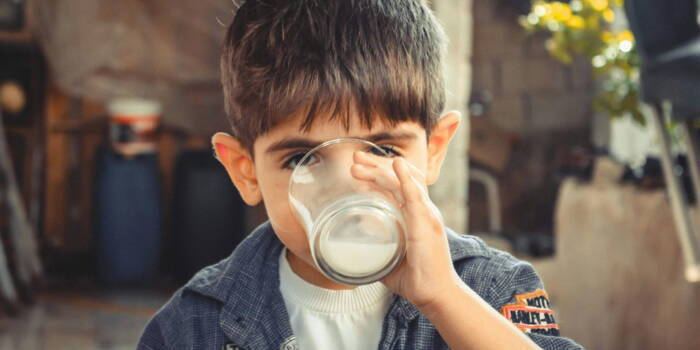 Можно ли заразиться, употребляя зараженное молоко?