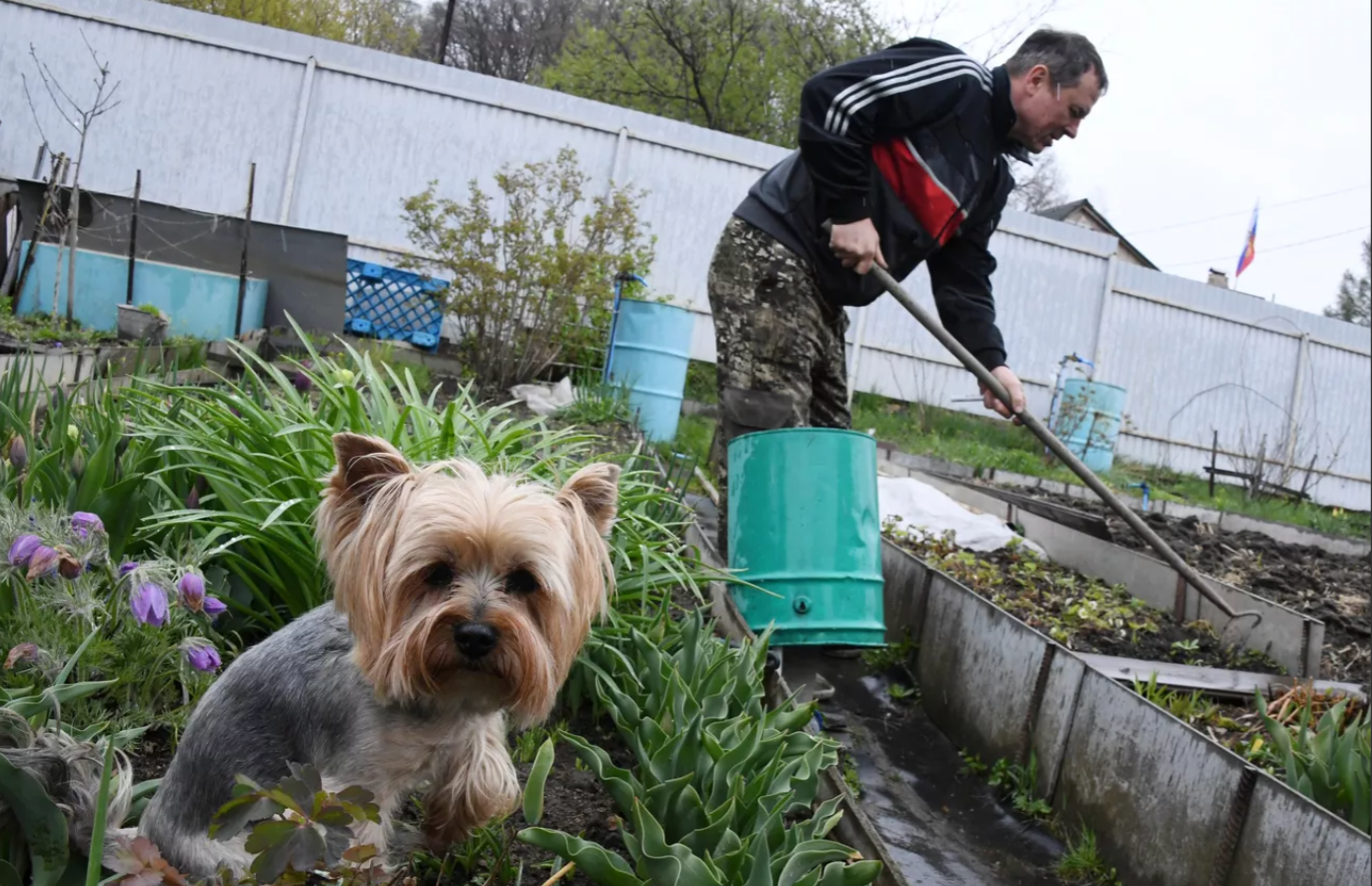 Как привести в порядок дачный участок после зимы