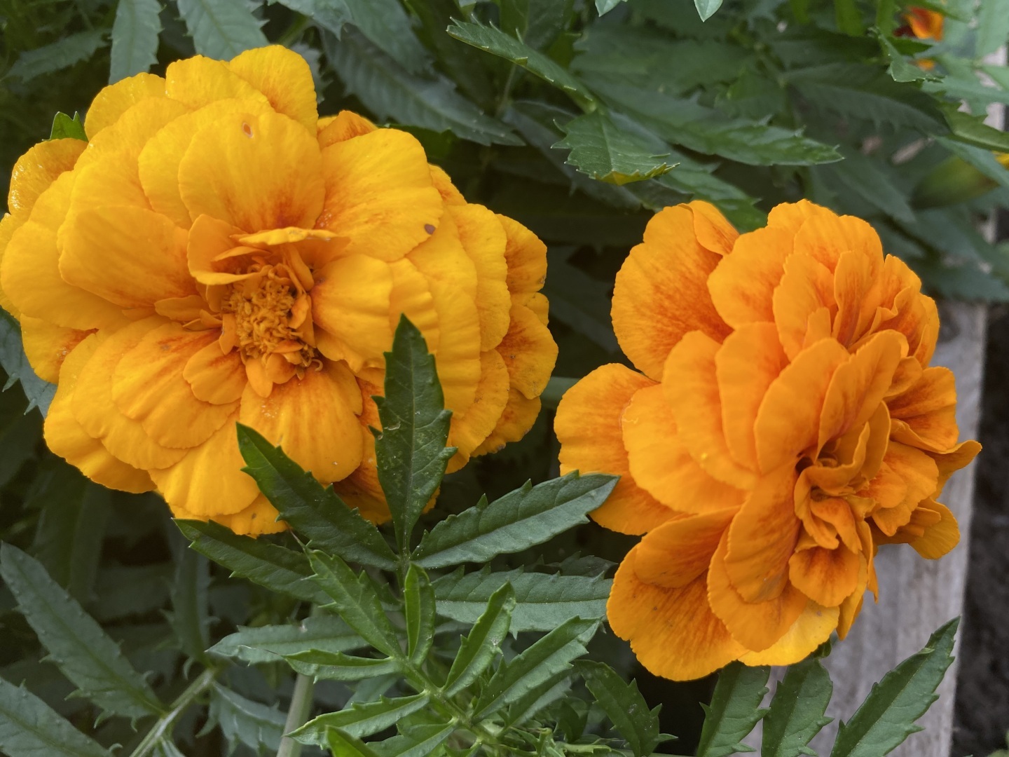 Настройся на лучшее: рукопожатие