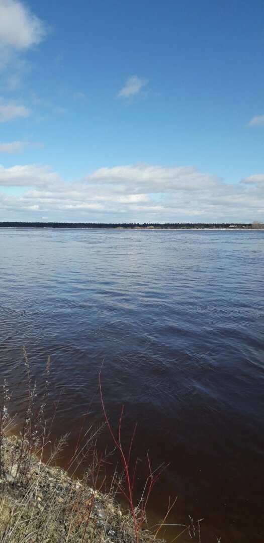 Мое мнение о паводке 2024 года. В Архангельской области подтоплению подвержен Холмогорский район