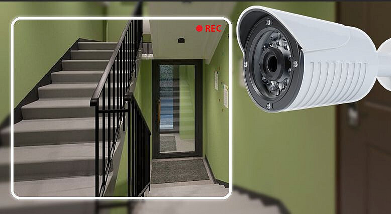 Просмотр видеозаписи с камеры видеонаблюдения одним из собственников.