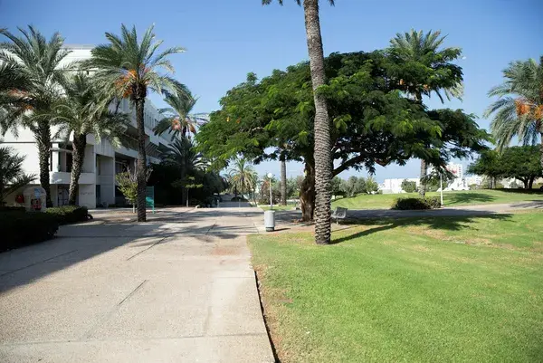 Чубайс запустил в Израиле центр изучения будущего России