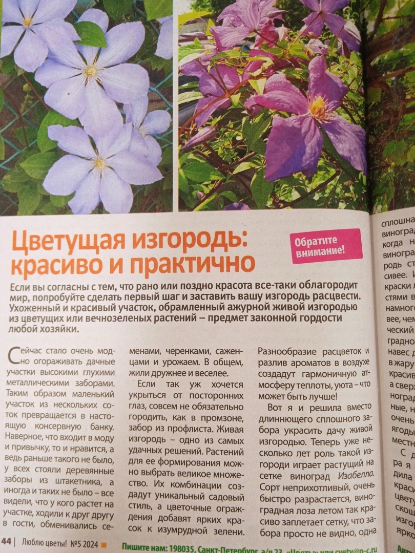 С одной статьей в двух журналах: мой опыт публикации в двух печатных изданиях: «Моя прекрасная дача» и «Люблю цветы»