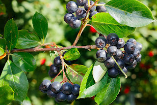 Кто ещё помнит витаминки Гексавит и Ундевит? А теперь забудьте!