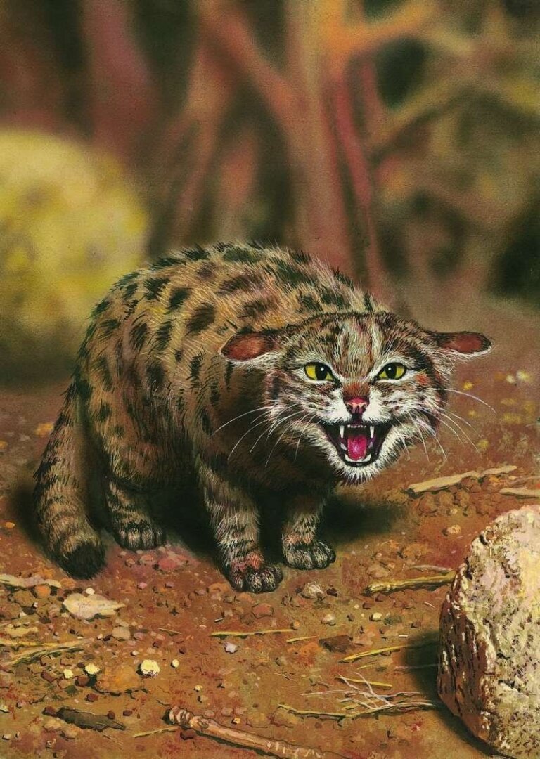 Самый успешный и милый охотник на Земле