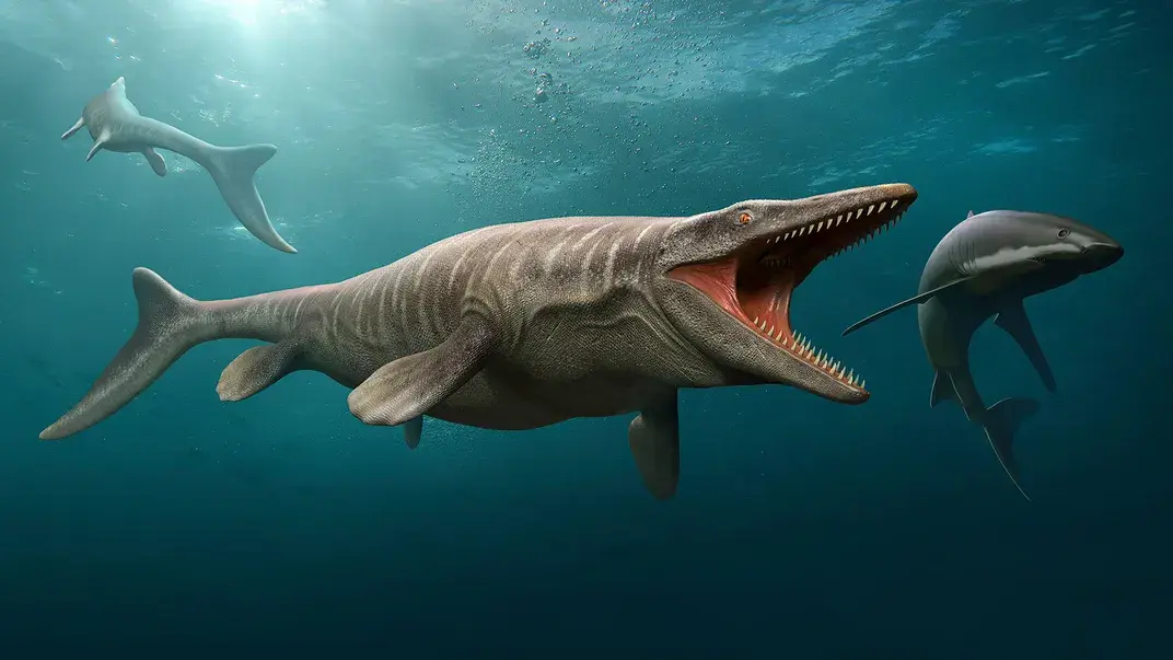Массивные мозазавры, возможно, эволюционировали не раз