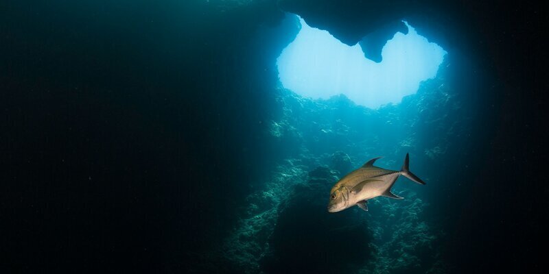 Загадка глубин: Ученые открыли самую глубокую голубую дыру у побережья Мексики