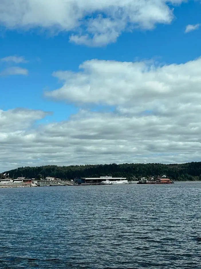 История из путешествий: о краже чайкой водительских прав и банковских карт в Карелии