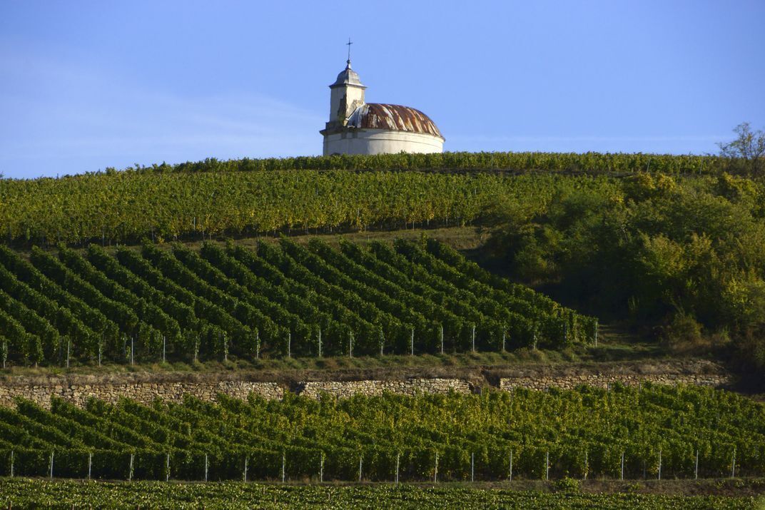 Восемь восхитительных винных регионов, о которых вы, возможно, никогда не слышали