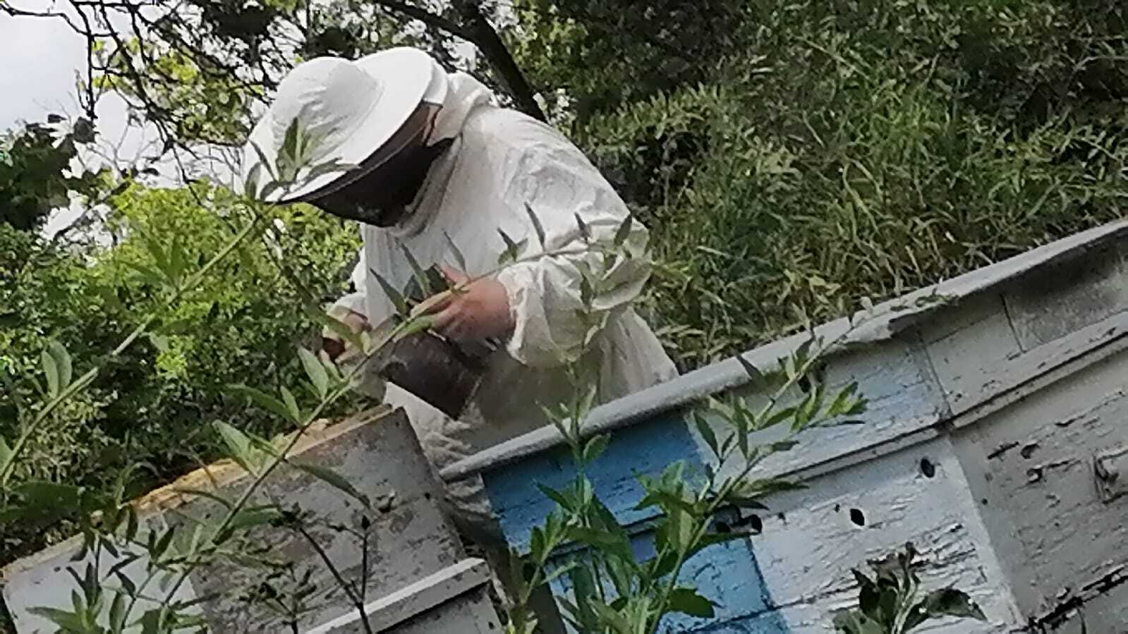 Личное подсобное хозяйство! Пчеловодство как хобби! Часть шестая!