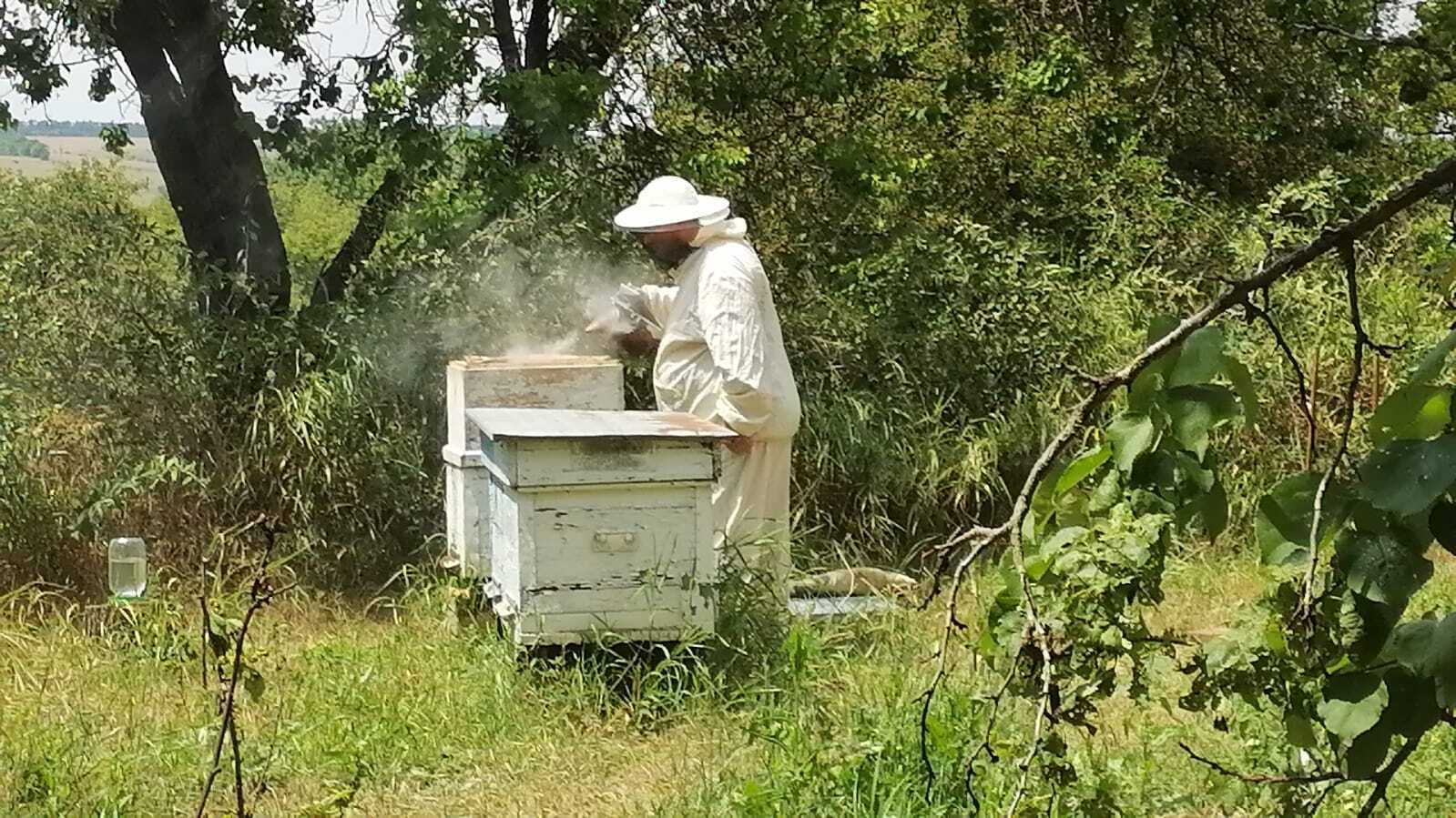 Личное подсобное хозяйство! Пчеловодство как хобби! Часть шестая!