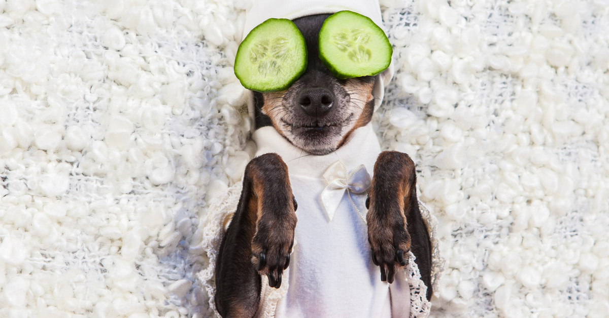 Впечатления от посещения деревенского бьюти-салона