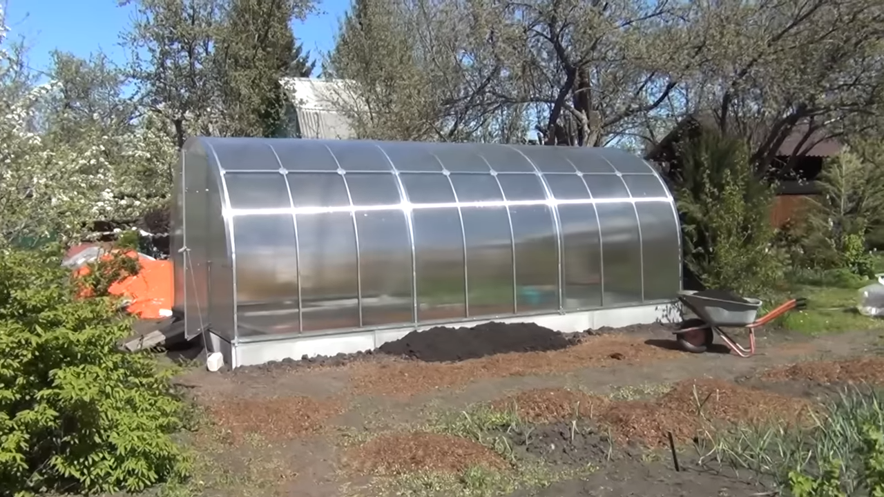 ✅ Погодные капризы и мои выводы в пользу теплицы