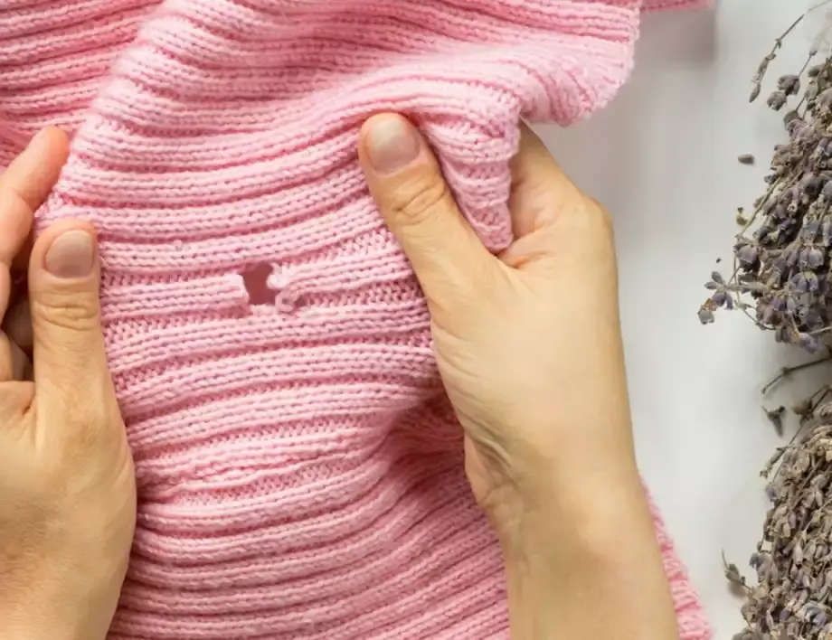 В шкафу завелась моль. Вот простые советы, как избавиться от вредителя.