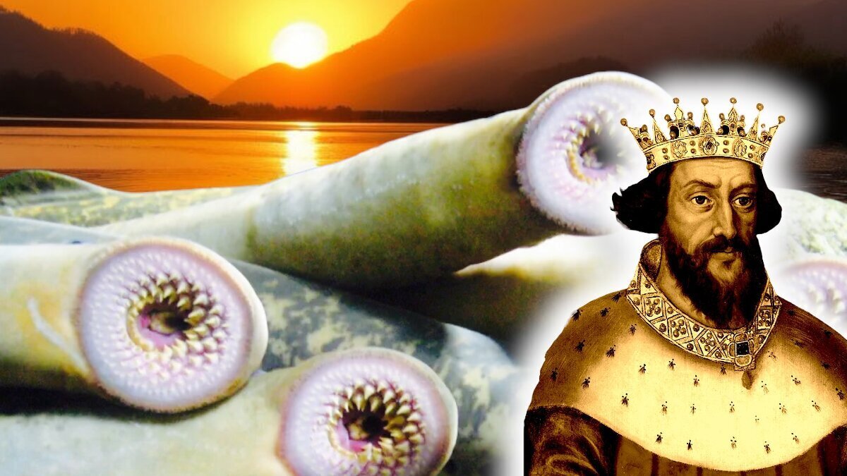 От королевских пиршеств до смертельной шаурмы: необычные причины смерти, которые изменят ваш взгляд на обыденное