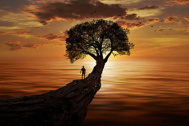 Ученые выяснили: Люди сами выбирают жить или умереть.