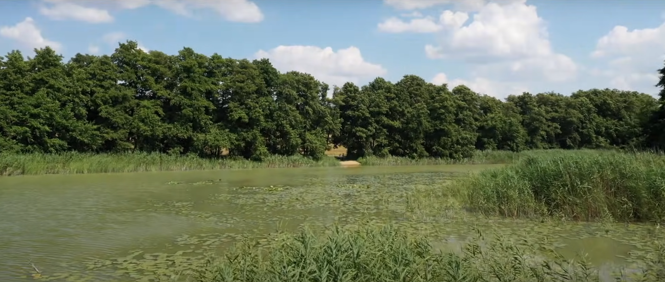 Мой источник вдохновения- природа!