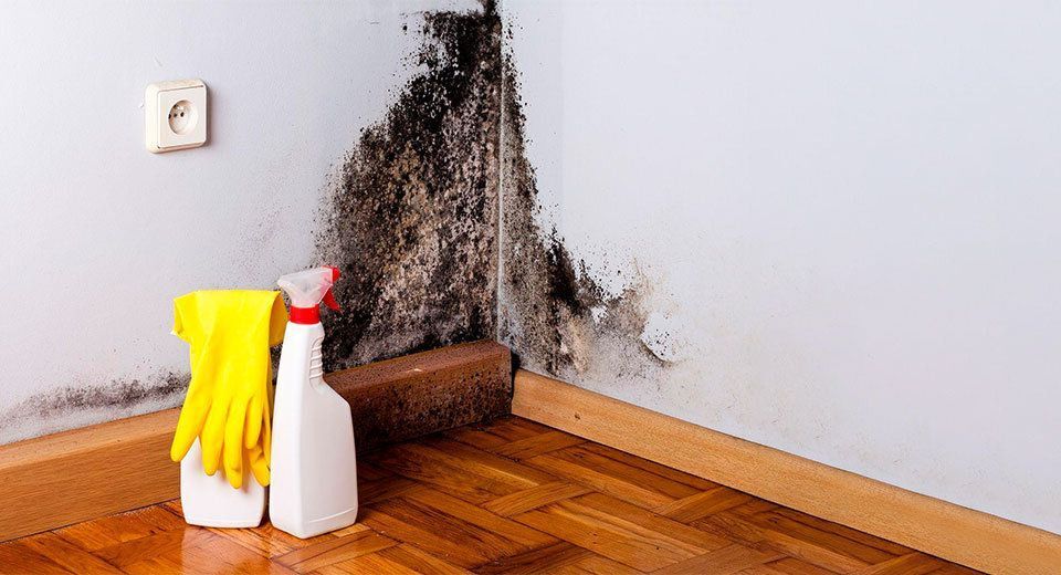 Как справиться с влажностью в доме или квартире