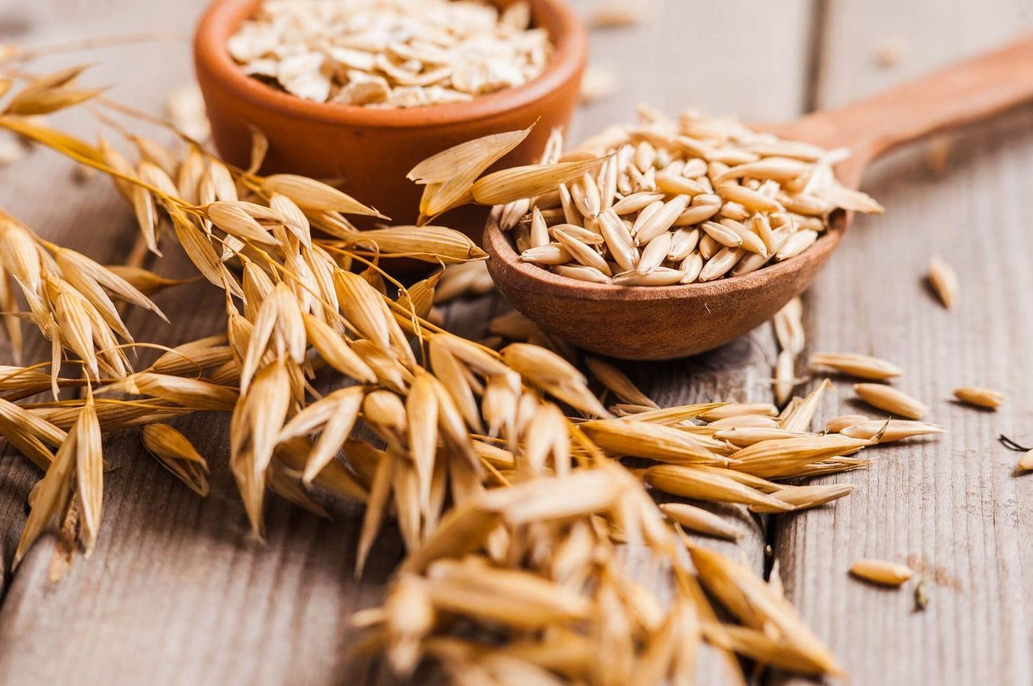 Овес – прекрасный диетический и целебный продукт