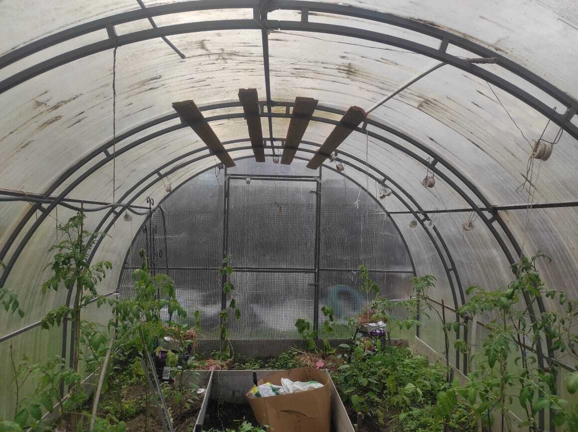 Теплица. Как я ее усовершенствовал