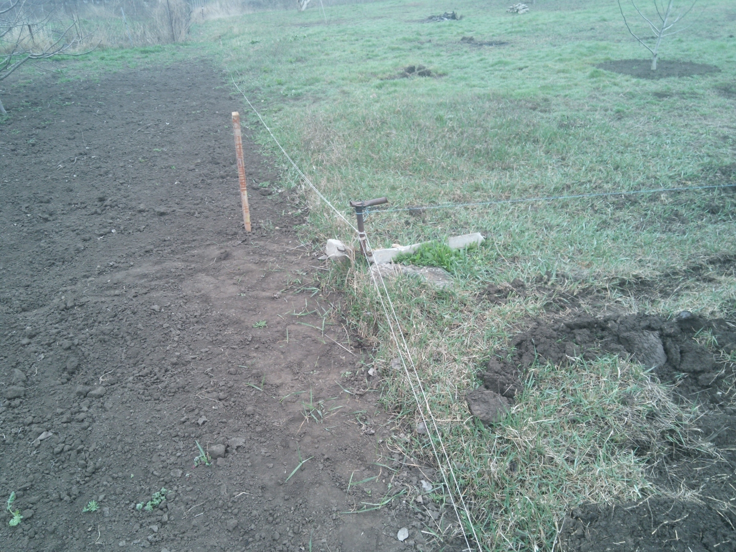 Не поздно ли судиться с новым соседом, который в феврале 2023 года установил колышек на нашем участке с попыткой отхватить землю у нас?