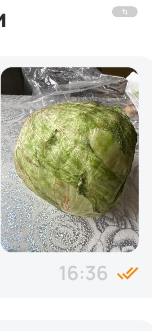 Доставка испорченного товара – куда жаловаться?