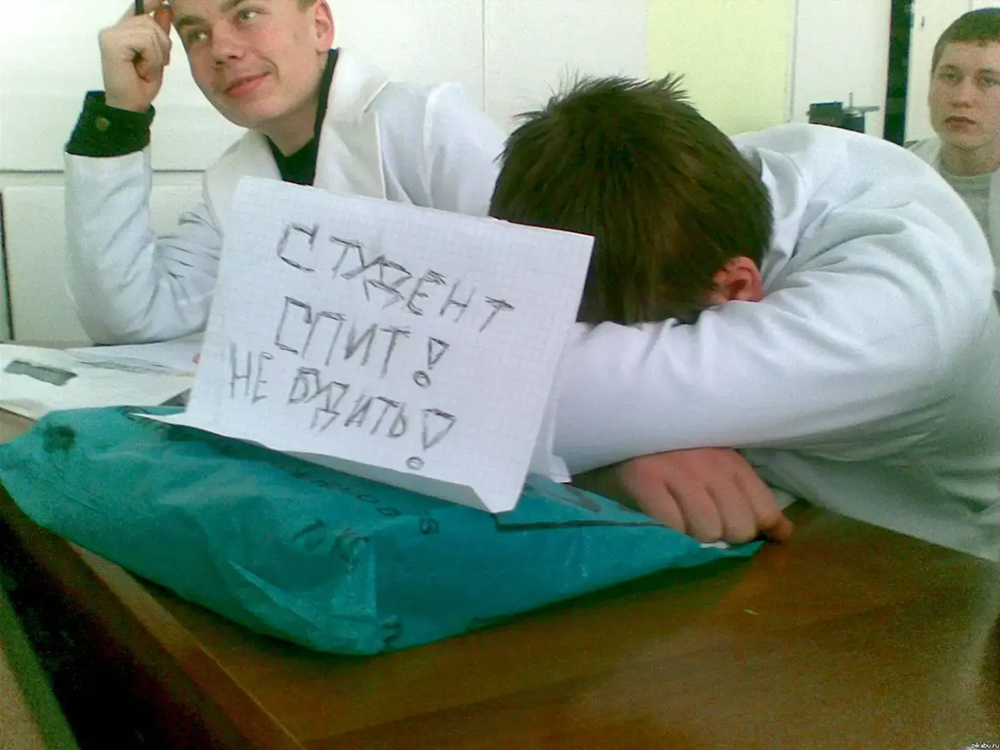 😂 Студенческий юмор, основанный на реальных событиях: смеяться разрешается ❗