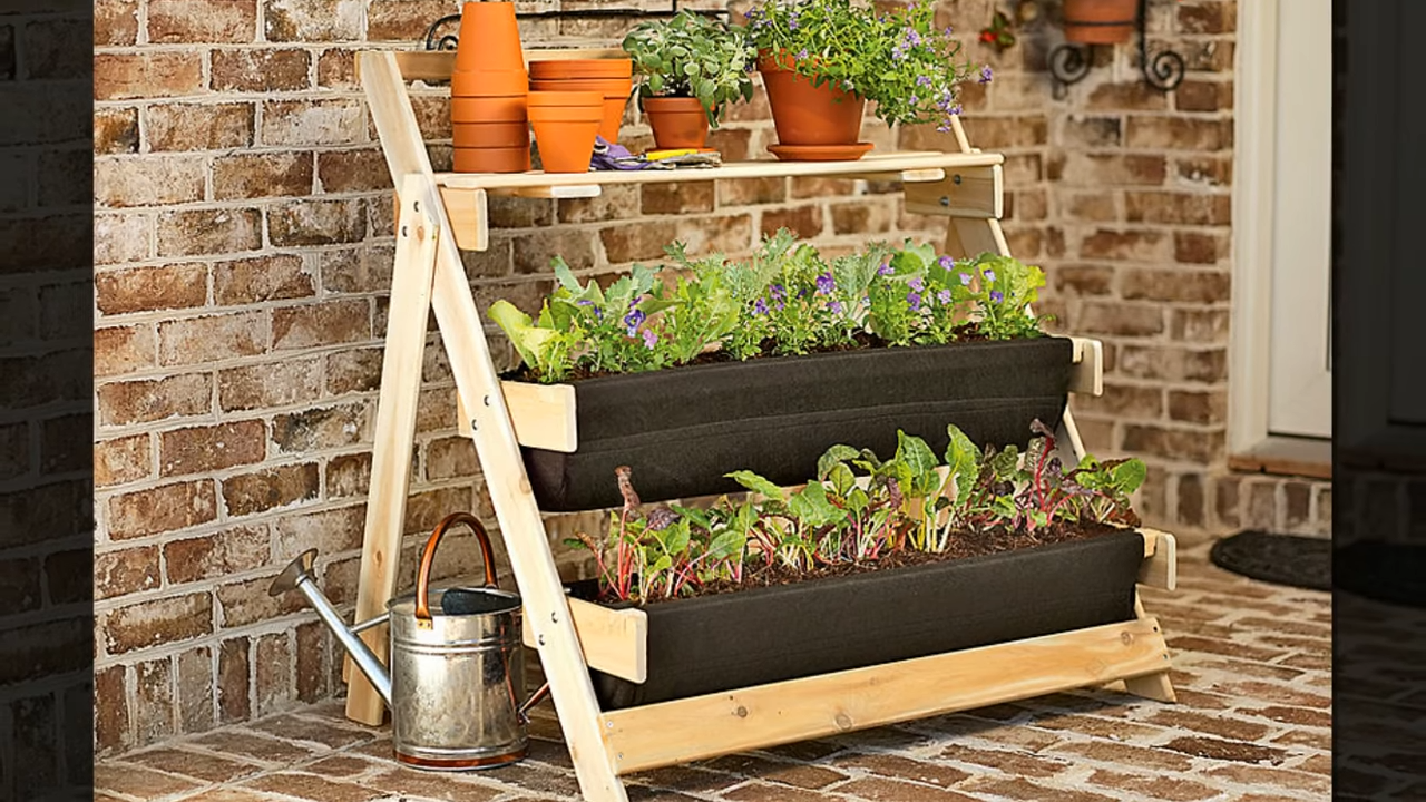 ✅Как в городе не имея земли занятся растеневодством и садоводством Практические советы 🌹🌸🌷