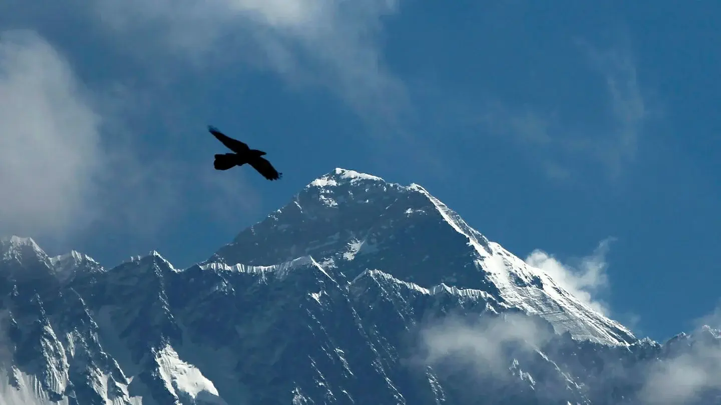 Восхождение на Эверест: Подготовка, Стоимость и Приключения