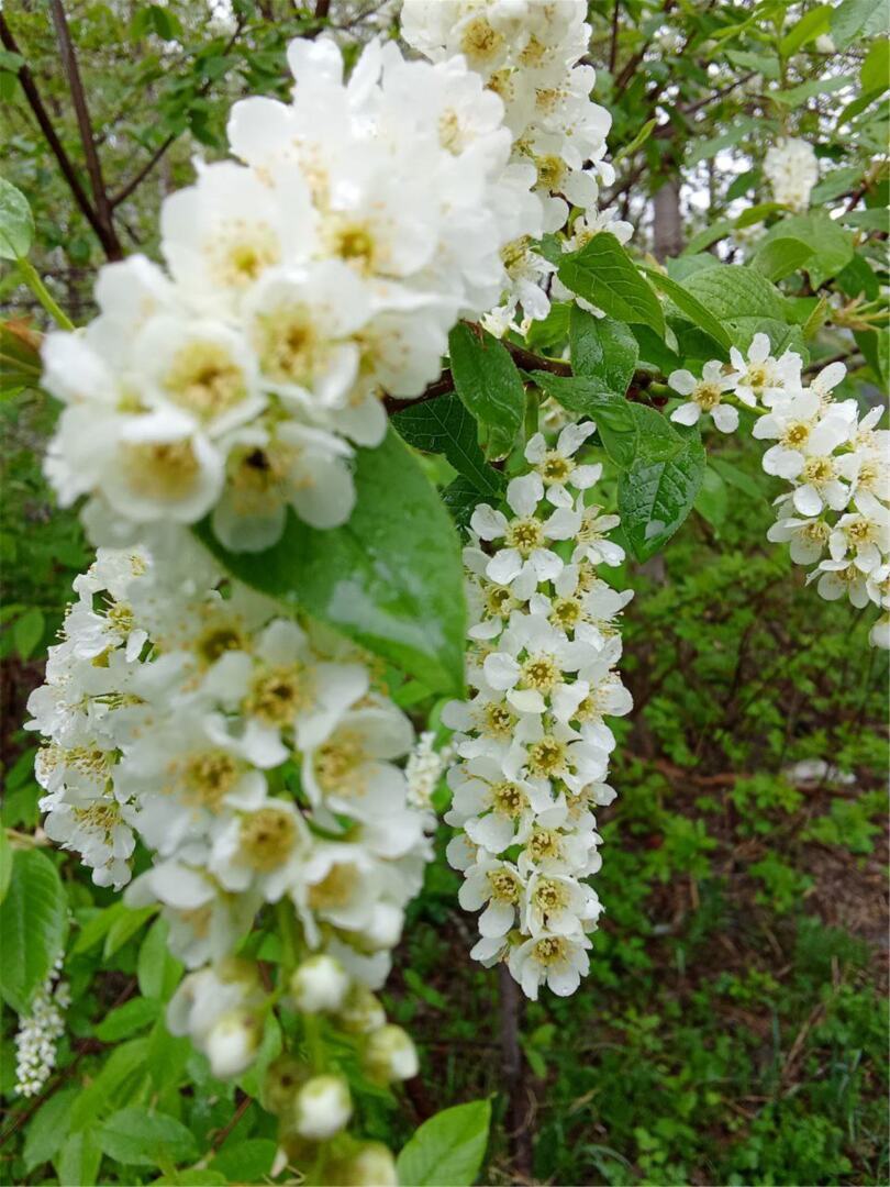 Наконец - то весна и тепло