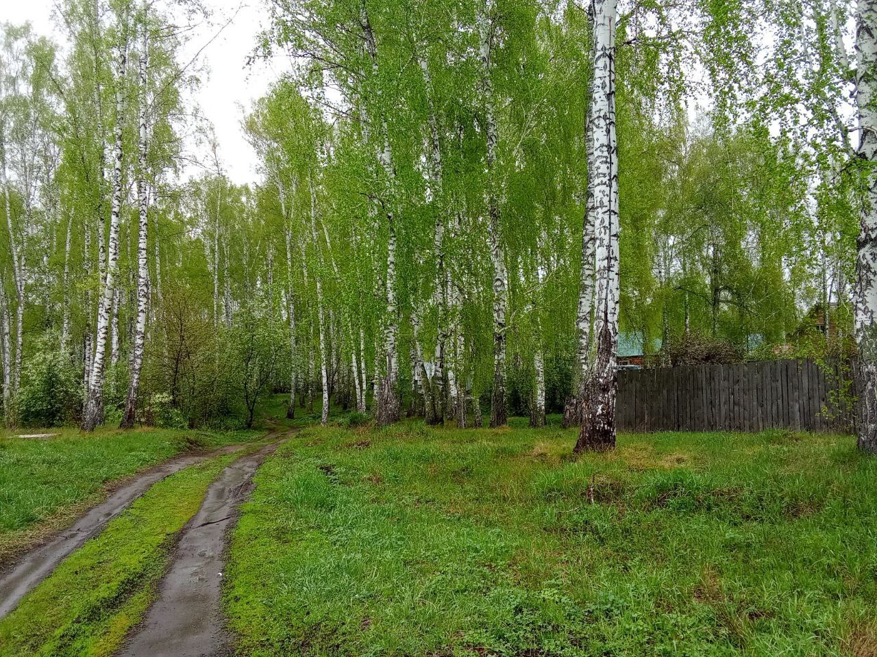 Наконец - то весна и тепло