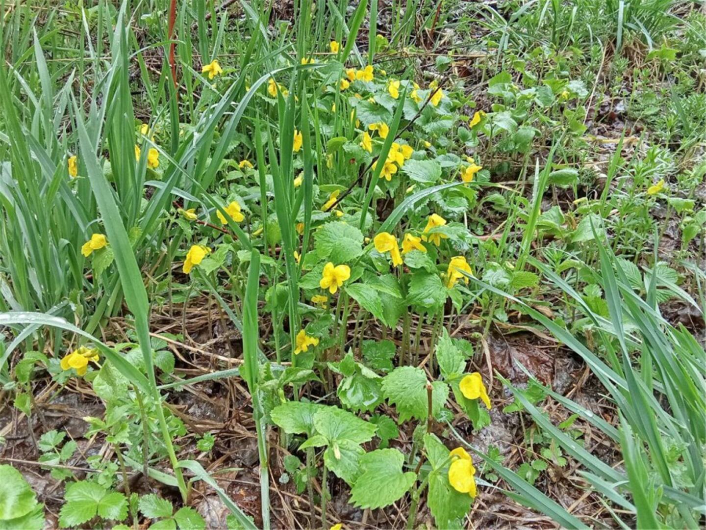 Наконец - то весна и тепло