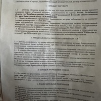 IMG_4982.jpeg