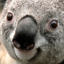 Сергей, г. Донецк