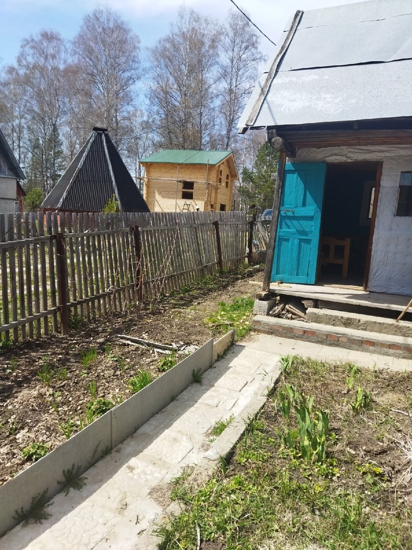 Дачный сезон стартовал. Вся правда об отдыхе, даче и дачниках