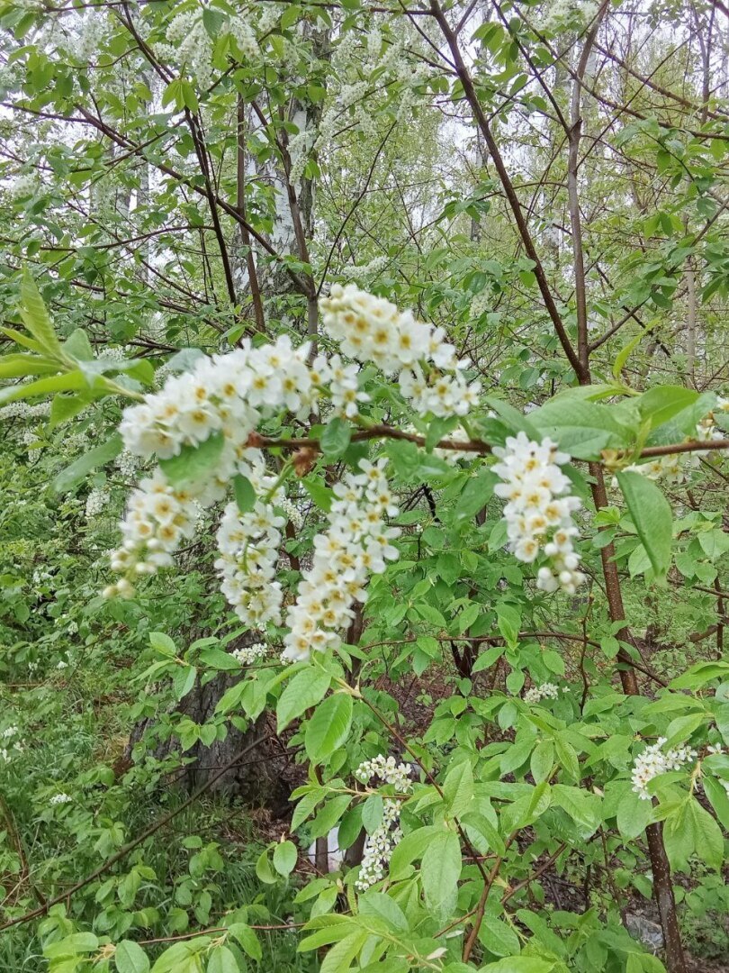 Наконец - то весна и тепло