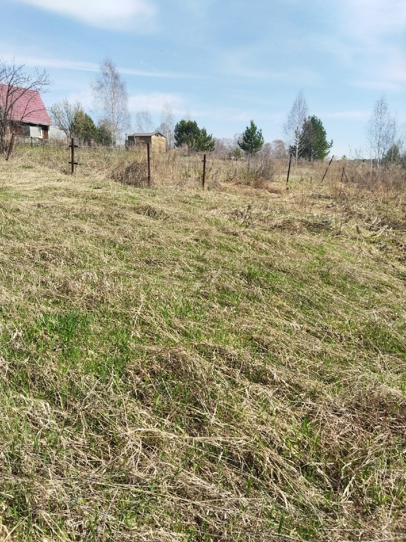 Дачный сезон стартовал. Вся правда об отдыхе, даче и дачниках