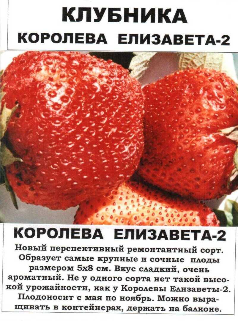 Мой будущий сад! Мечта которую я воплощаю своими руками!