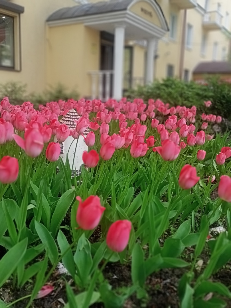 Питер Пен в домашних тапочках: мой муж, который не хочет взрослеть!