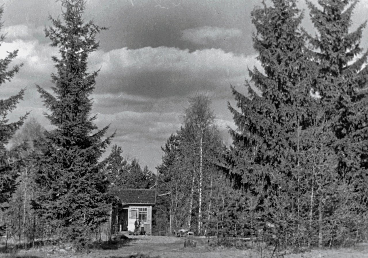 "Отчаяние." / (оригинальный заголовок)