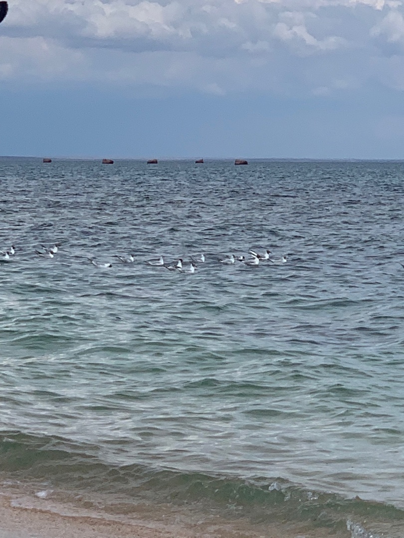 Разнообразие в жизни от подруги-нелегала