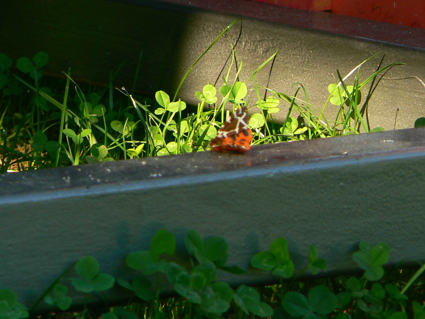 Зал ожидания / Часть 1 (по причине ограничения кол-ва символов)/