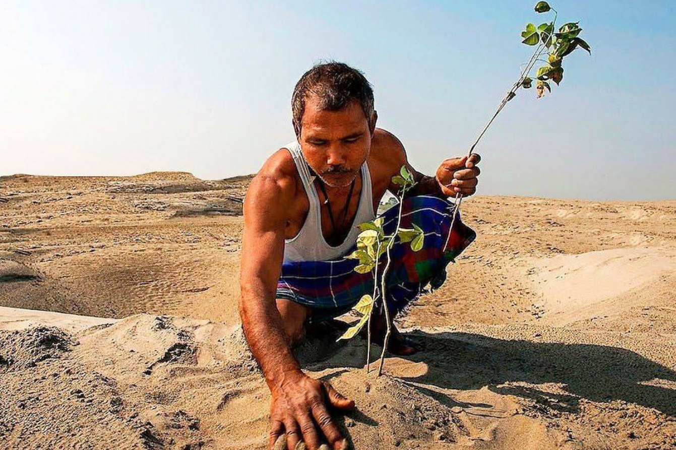 Искусство маленьких шагов. Джадава Пайенга посадил целый лес в одиночку 😲